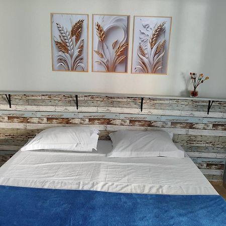 Alpha Hospedaria & Hostel Londrina Exterior photo